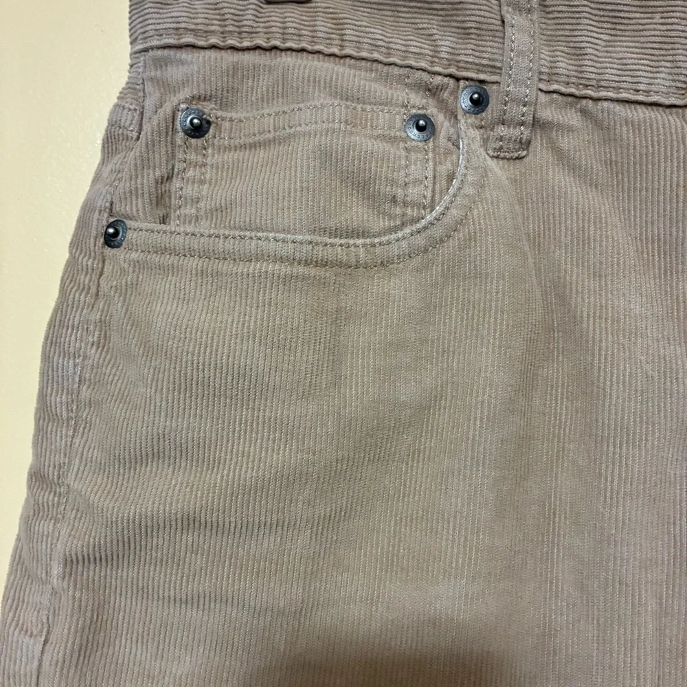 J. Crew crew 484